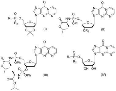 一类三环核苷酸类似物及其合成方法和应用与流程