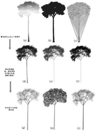 一种从地基激光雷达点云中自动重建树木结构的方法与流程