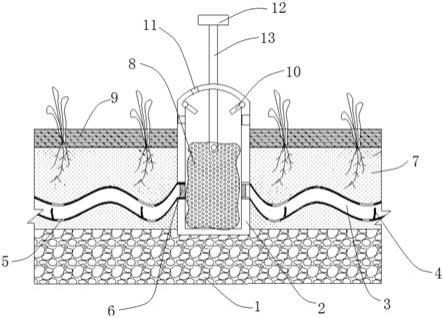 一种基于海绵生态体系水质净化的雨水花园的制作方法