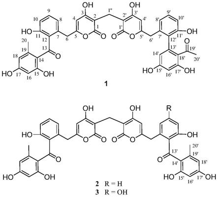 聚酮类二聚体化合物及其制备方法与用途与流程