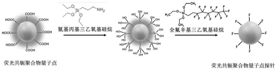 一种荧光共轭聚合物量子点探针和全氟化合物检测方法与流程