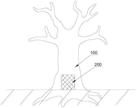 一种提高果树坐果率的生长调节方法与流程