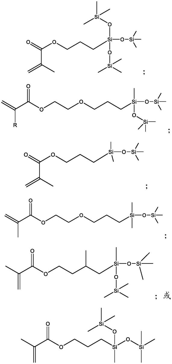 丙烯酸酯-硅氧烷共聚物粒子的水性分散体的制作方法
