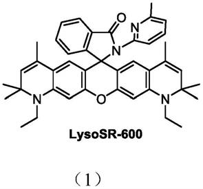 一种用于溶酶体超分辨荧光成像的自闪荧光染料及其合成方法与应用与流程