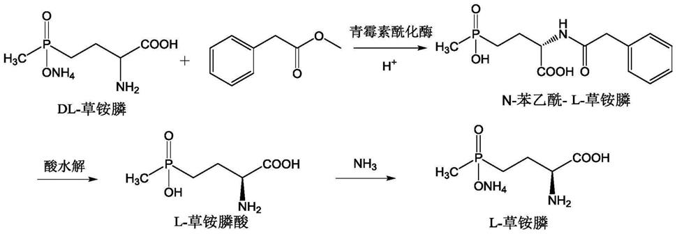 一种酶拆分法制备L-草铵膦的工艺的制作方法