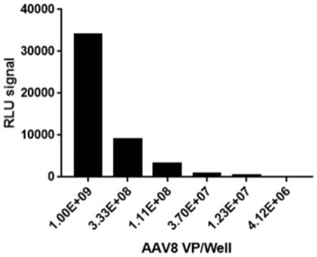 AAV8中和抗体检测方法和检测试剂盒与流程