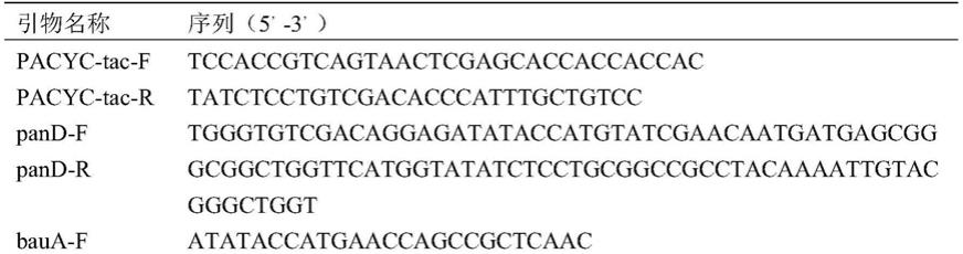 一种产1,3-丙二醇的基因工程菌的制作方法