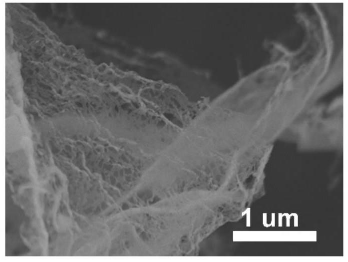 一种单层碳纳米网材料的制备方法及其应用