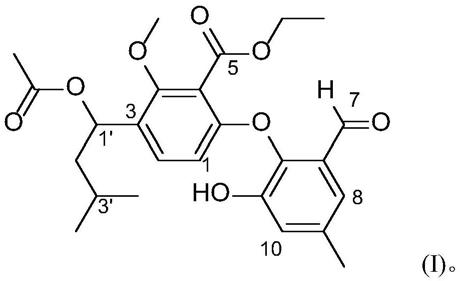 一种缩酚酸环醚类化合物、菌株、制备方法及应用