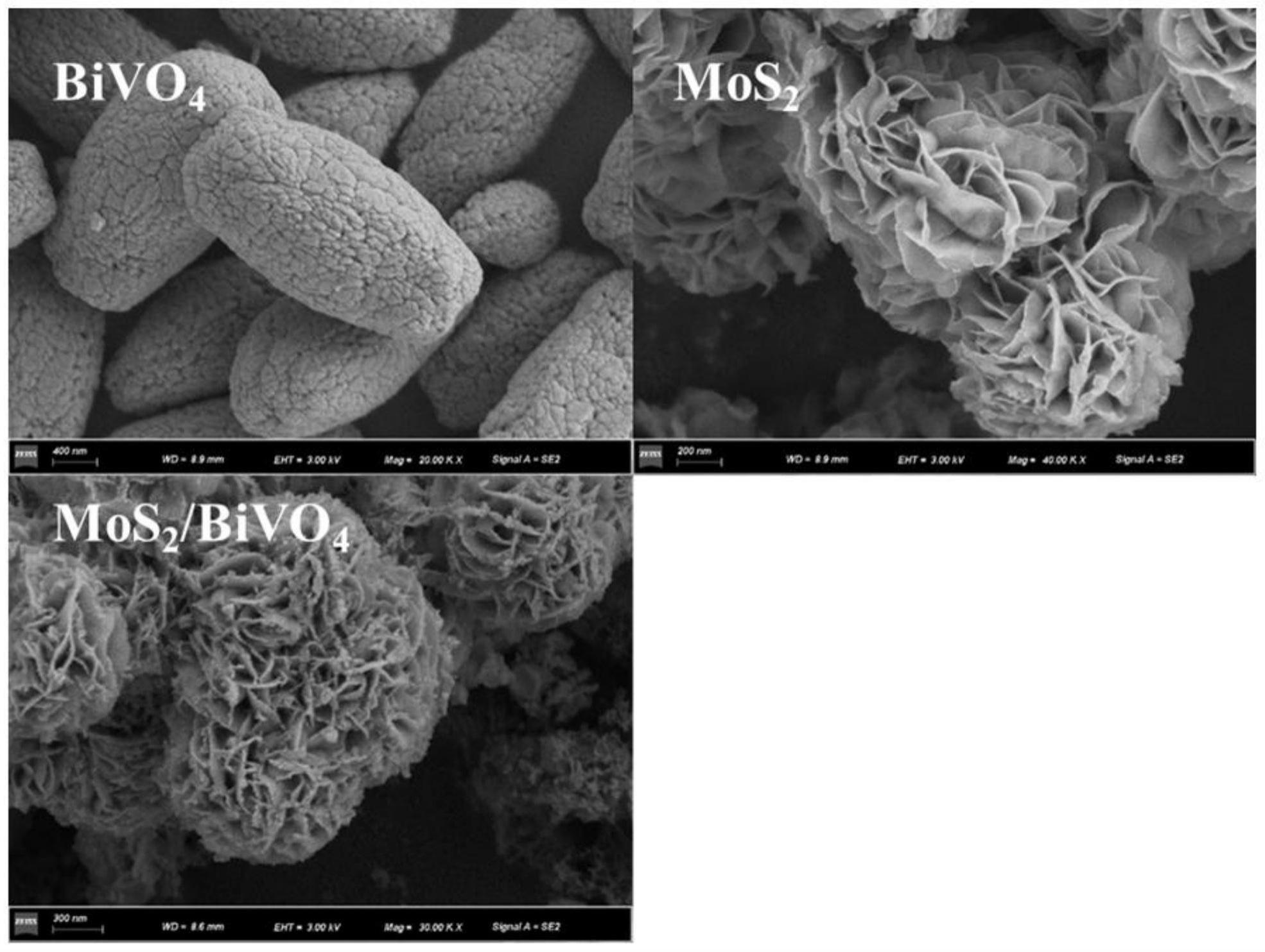 一种基于MoS2/BiVO4光催化剂活化过氧单硫酸盐的光芬顿体系降解污染物的方法