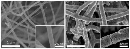 一种单斜相二氧化钼/氮掺杂碳纳米管三维纳米复合材料的制备方法和应用