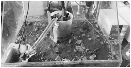一种采用电化学处理淋洗液的污染土壤原位循环淋洗处理方法