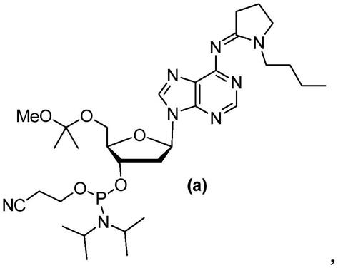 亚磷酰胺化的核苷衍生物及其合成方法、应用和试剂盒与流程