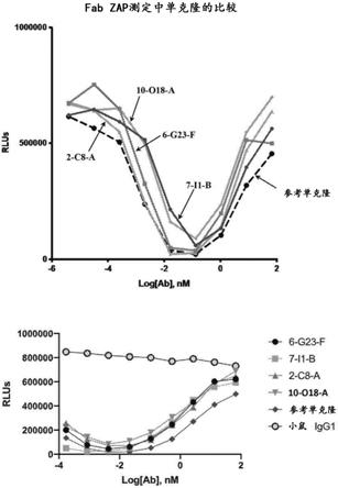 DLL3靶向抗体及其用途的制作方法
