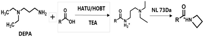 一种基于保留指数结合化学衍生化质谱特征二级碎片的氧脂素综合定性方法