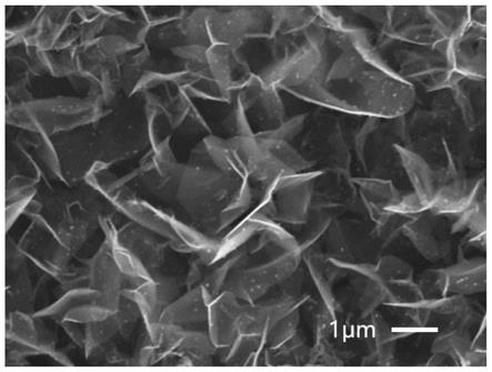 一种石墨烯阵列表面原位生长碳纳米洋葱、制备方法及应用与流程