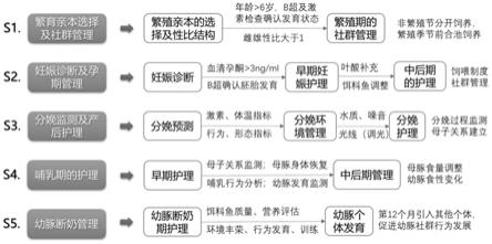 长江江豚全人工环境繁育的方法