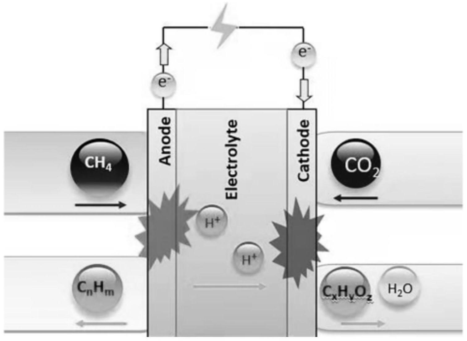 一种降低能耗共电解烷烃与二氧化碳制备增殖化学品的方法及电解池反应器