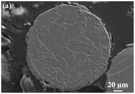 一种核壳结构的钛基复合粉末及其制备方法和应用