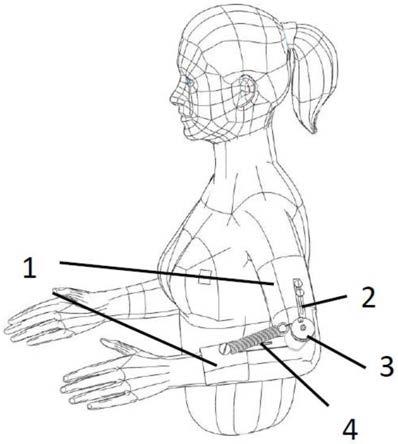一种自平衡穿戴式柔性肘关节助力外骨骼
