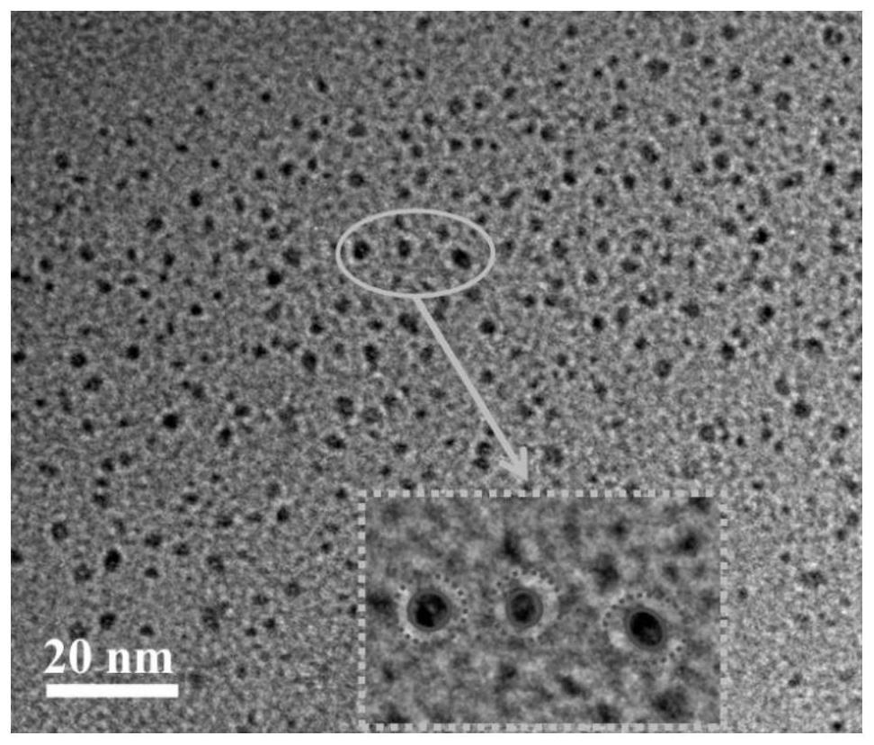 碳量子点@有机壳层结构的荧光纳米粒子的合成方法