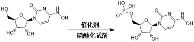 一种酶法制备N4-OH-CMP的方法与流程
