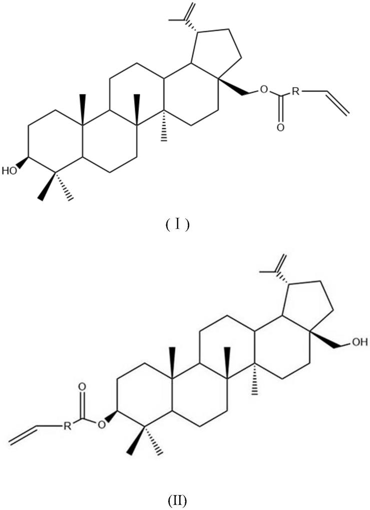 桦木醇环烯烃衍生物及其用途和制备方法