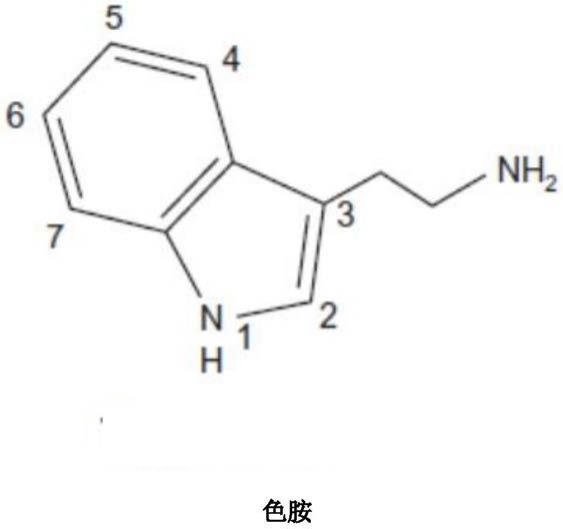 用于治疗精神障碍的含有5-甲氧基-N,N-二甲基色胺(5-MEO-DMT)的组合物的制作方法