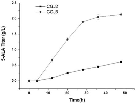 敲除谷氨酸棒杆菌中转录调控因子Ncgl0580生产5-氨基乙酰丙酸的方法