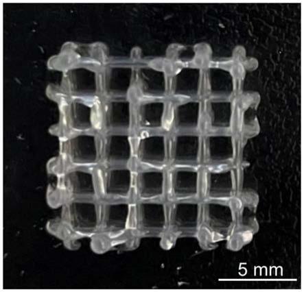 一种利用3D打印技术固定微生物高产透明质酸的方法