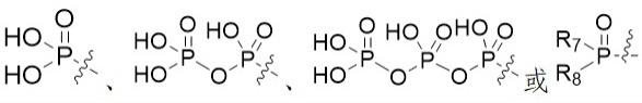 一种环状碳酸酯核苷类化合物及其应用的制作方法