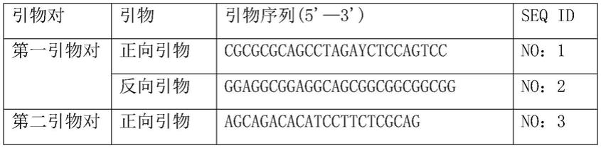 用于检测GIPC1基因5’-UTR区域CGG扩增次数的PCR检测试剂盒及应用
