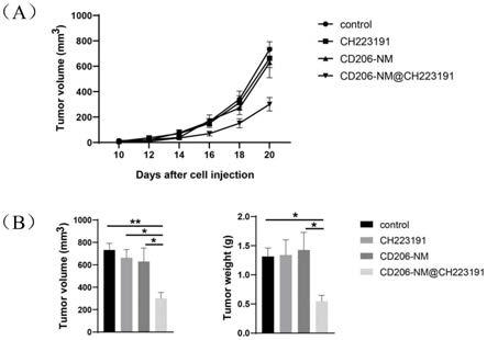 AhR抑制剂CH223191在制备抑制肿瘤相关巨噬细胞药物中的应用