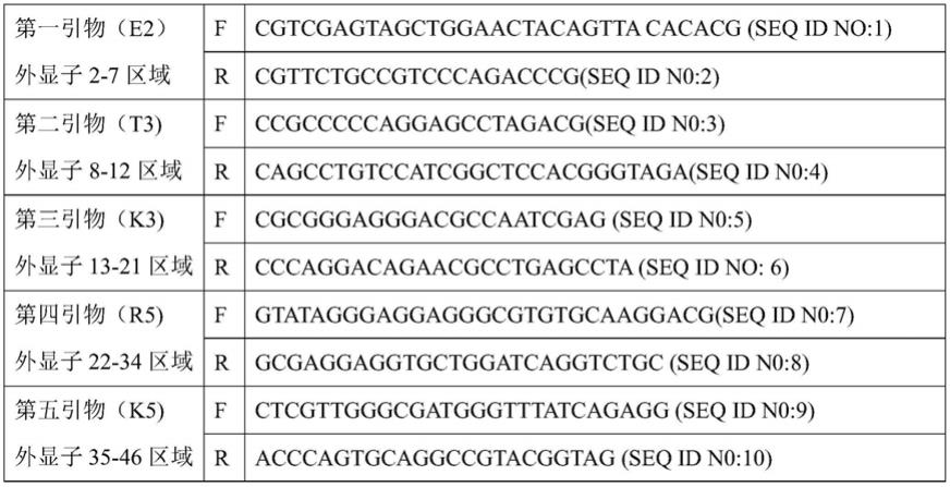 常染色体显性遗传型多囊肾病检测的试剂组合物及检测方法与流程