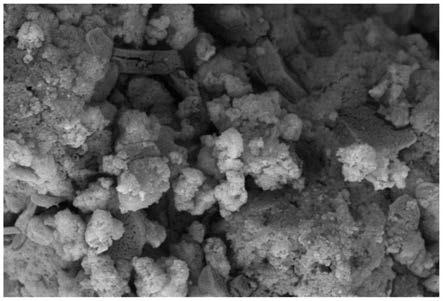 一种锶掺纳米羟基磷灰石微球/壳聚糖水凝胶及制备方法