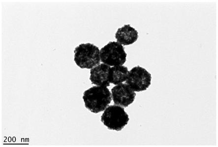 一种钨酸铋介孔纳米材料及其制备方法和应用