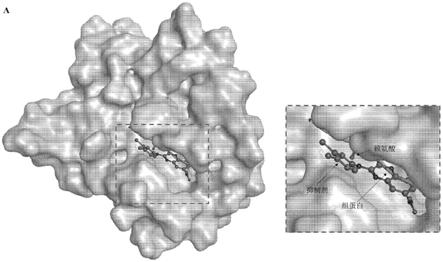 抗菌和抗寄生虫的喹喔啉-2,3-二胺衍生物