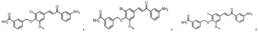 抑制组蛋白乙酰转移酶p300的新型化合物及其抗纤维化组合物的制作方法