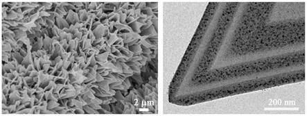 一种空心金属-氮共掺杂碳基纳米片阵列及其制备方法与应用