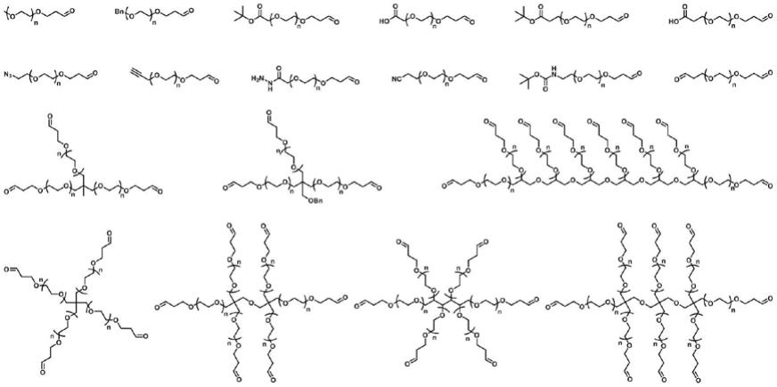 一种丙醛功能化的聚乙二醇衍生物及其制备方法