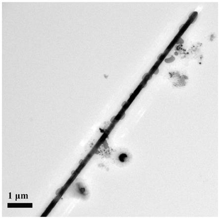 一种超长可控全无机溴铅铯钙钛矿纳米线的制备方法