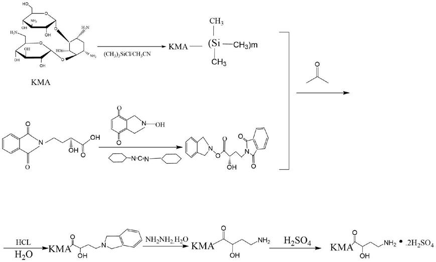 一种硫酸阿米卡星注射液未知杂质的制备及结构鉴定方法与流程