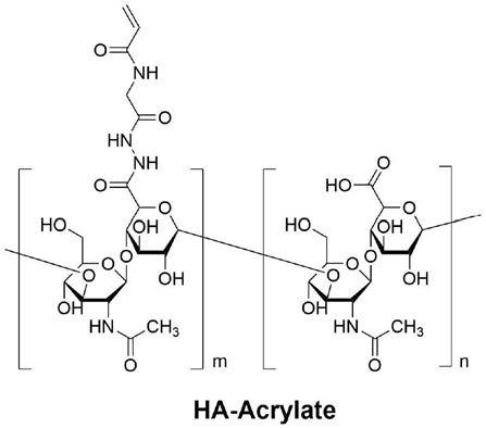 一种双键官能化修饰的透明质酸(钠)及其合成方法和应用与流程