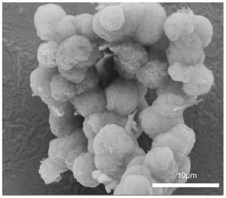 一种花状核壳结构的多元复合硫化物纳米粉体及制备方法