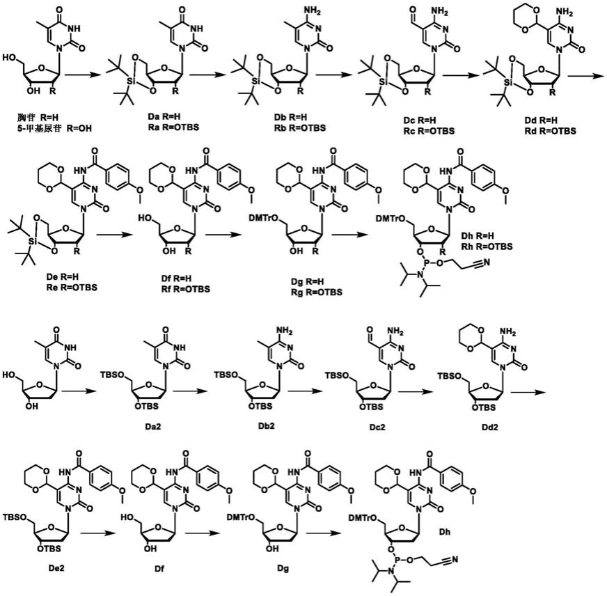 一种5-醛基胞嘧啶亚磷酰胺单体的合成方法