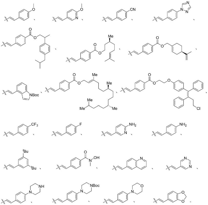 β-榄香烯乙烯基化偶联衍生物及其制备和在制备抗肿瘤药物中的应用