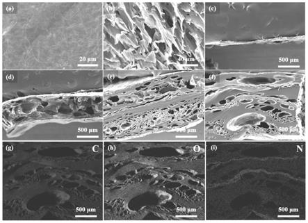 一种多孔-微气囊结构的石墨烯交替薄膜、制备方法及应用