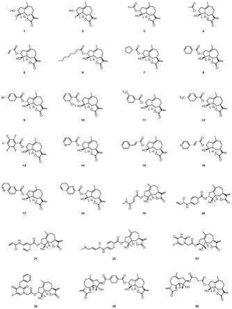 Ludartin衍生物和其药物组合物及其制备方法和应用