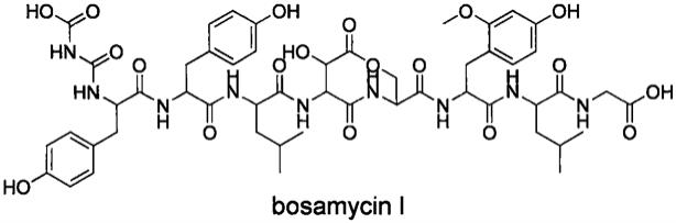 非核糖体肽类化合物博莎霉素I及其制备方法