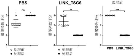 用于干眼病的TSG6多肽片段